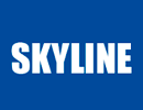 Ремонт телевизоров SKYLINE в Новом Торъяле